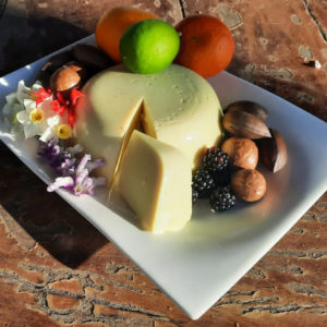 vegan cheese South Africa supplier natural dairy Majikfood